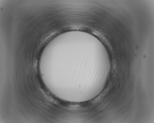 X0000085080066200704021447