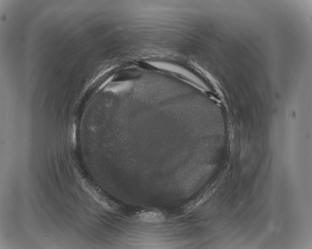 X0000085080067200704021447