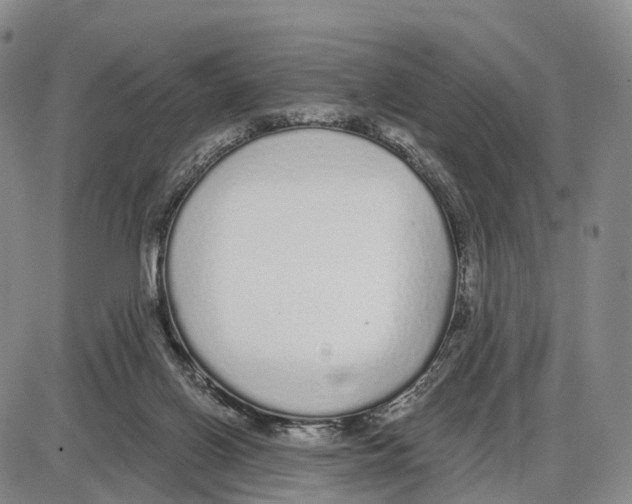 X0000085080070200704021447