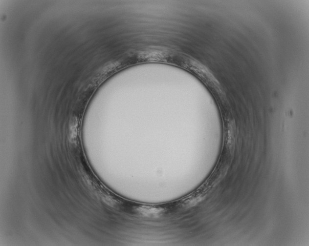 X0000085080073200704021447