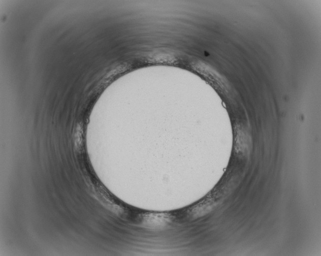 X0000085080077200704021447