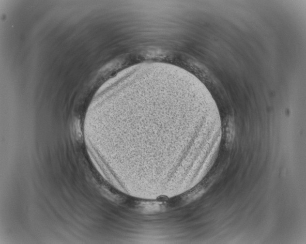 X0000085080089200704021448