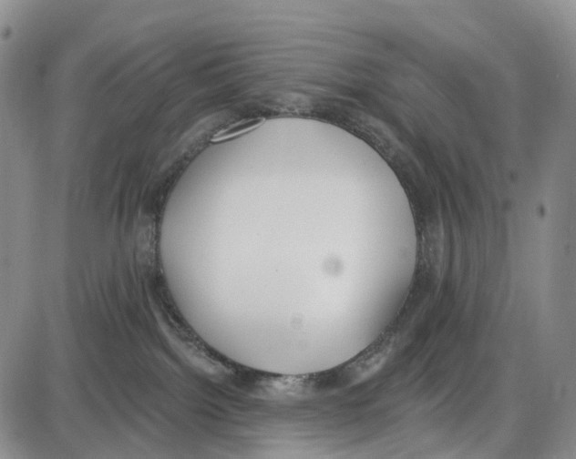 X0000085080092200704021448