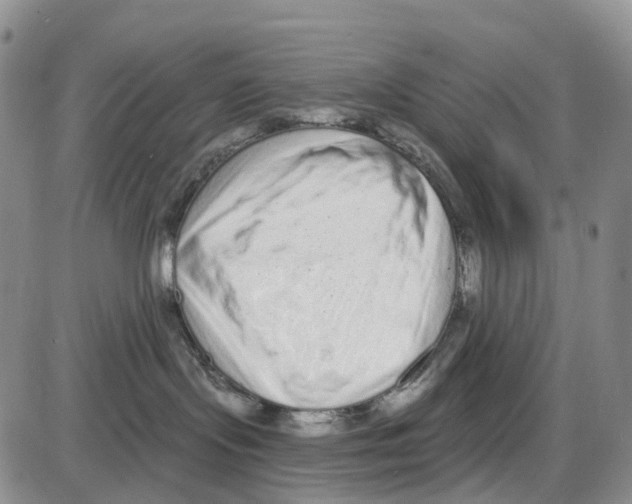 X0000085080095200704021448