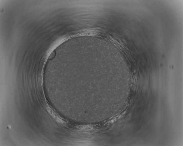 X0000085080100200704021447