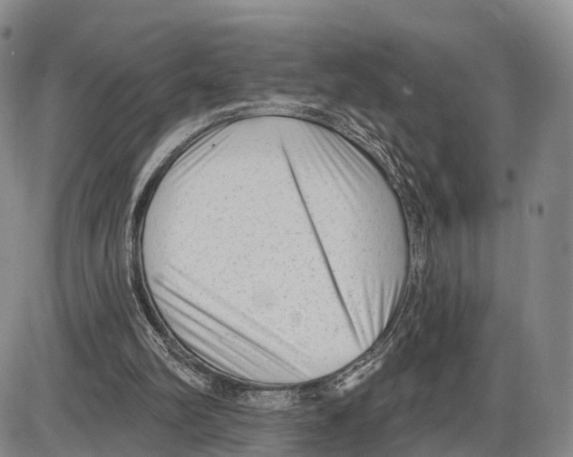 X0000085080102200704021447