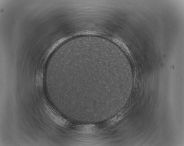 X0000085080108200704021447