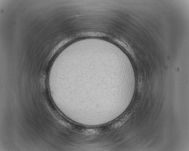 X0000085080111200704021447