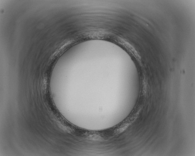 X0000085080113200704021447