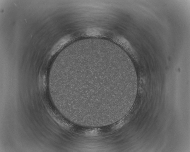 X0000085080116200704021447