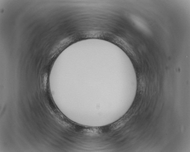 X0000085080118200704021447