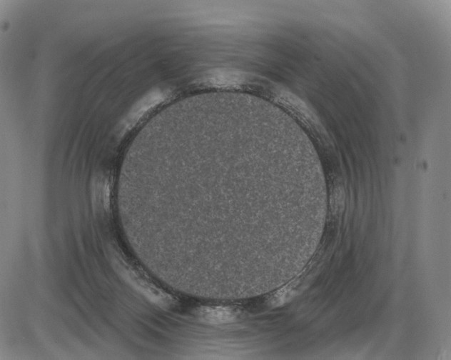 X0000085080120200704021447