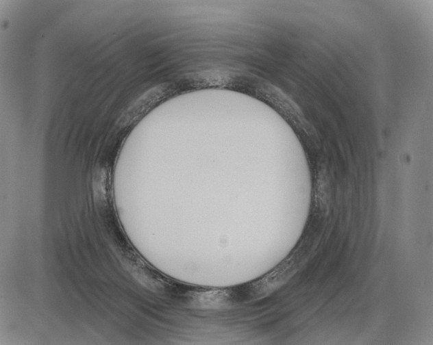 X0000085080122200704021447