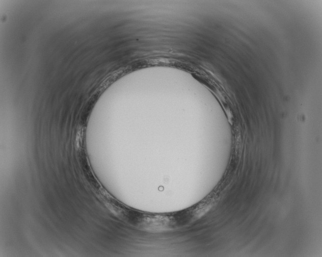 X0000085080125200704021447