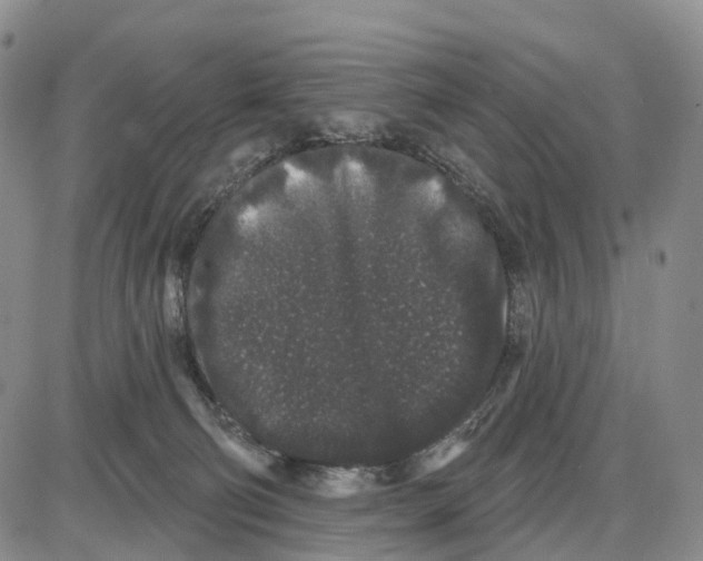 X0000085080130200704021446