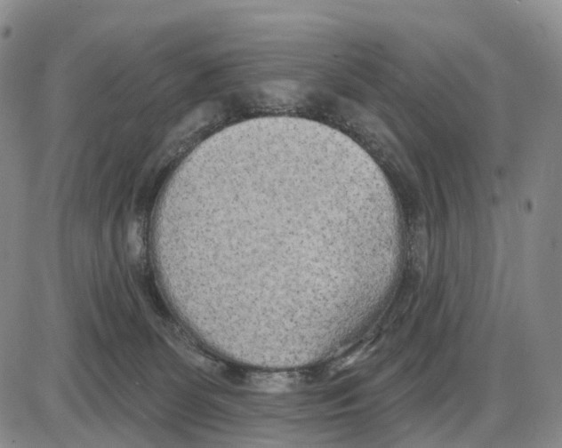 X0000085080131200704021446