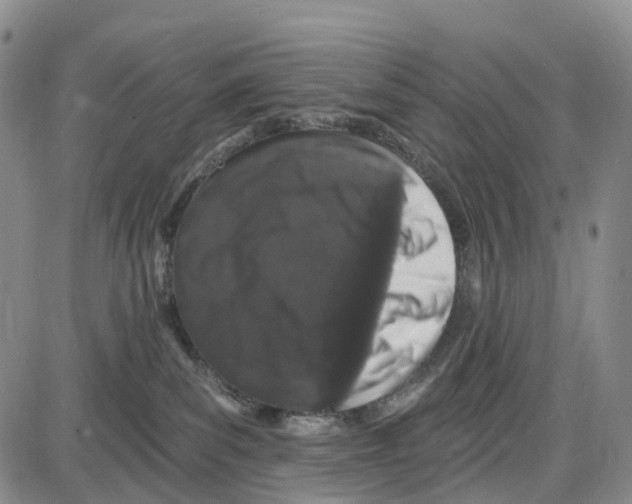 X0000085080139200704021446