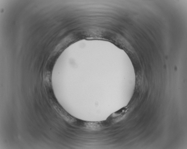 X0000085080141200704021446