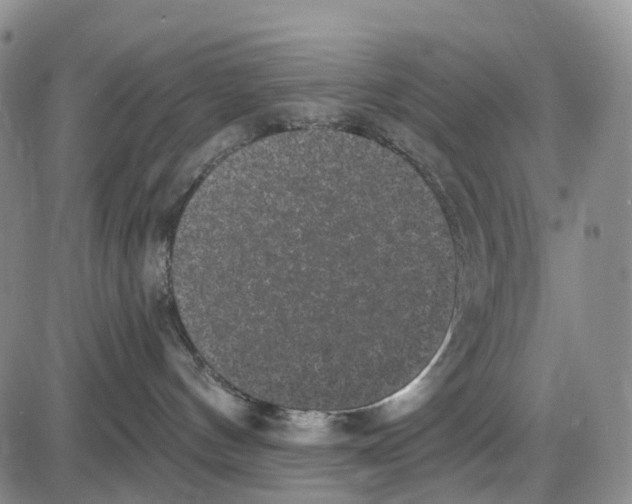 X0000085080144200704021446