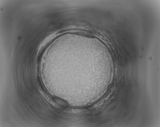 X0000085080149200704021445