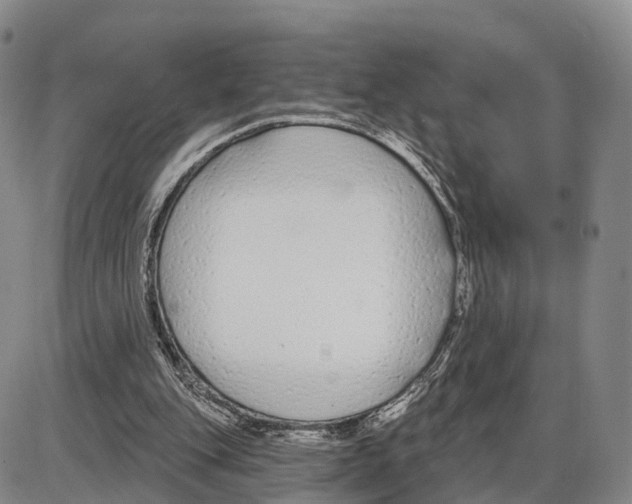 X0000085080151200704021446