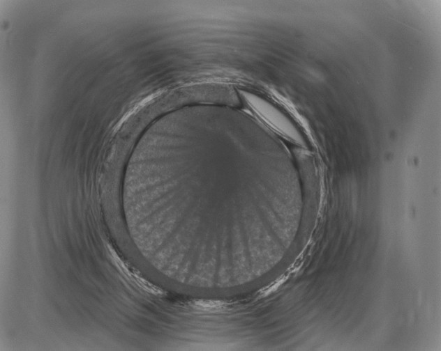 X0000085080154200704021446