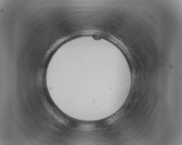 X0000085080155200704021446