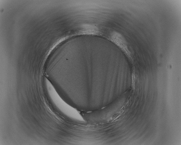 X0000085080156200704021446