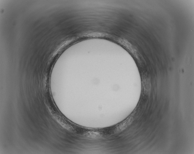 X0000085080159200704021446