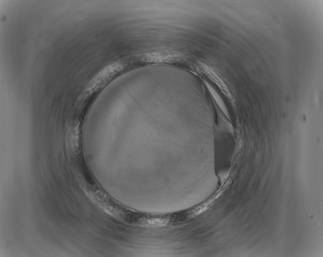 X0000085080163200704021446