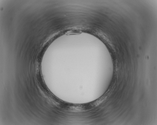 X0000085080164200704021446