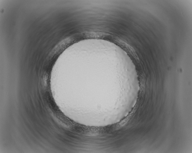 X0000085080166200704021446