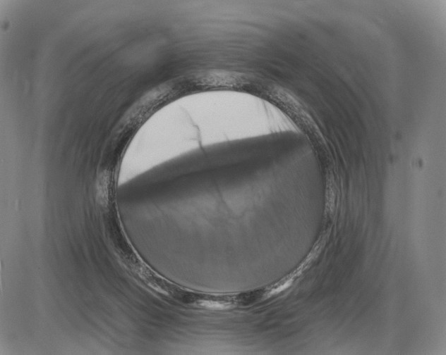 X0000085080167200704021446