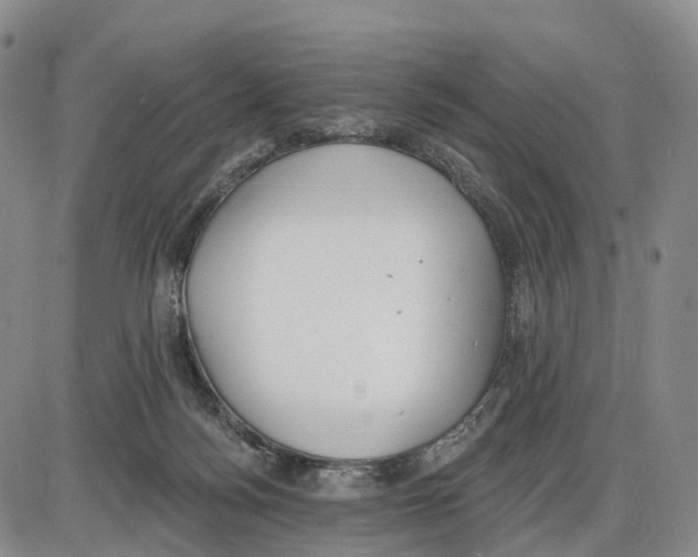 X0000085080172200704021446