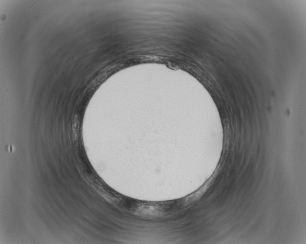 X0000085080174200704021446