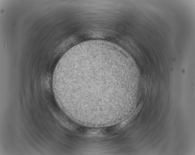 X0000085080175200704021446