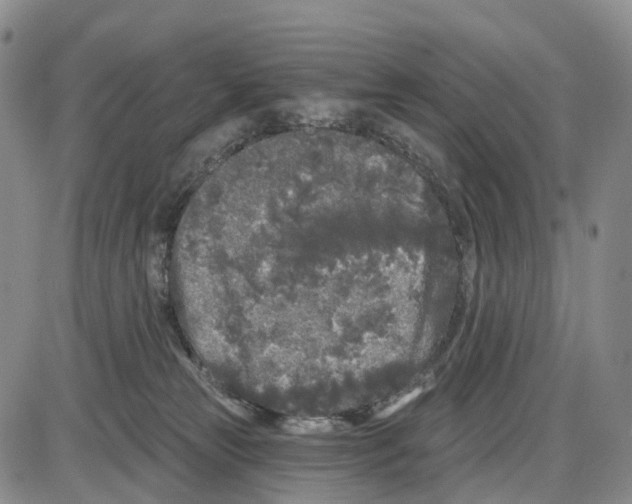 X0000085080181200704021446