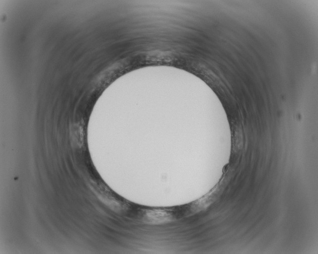 X0000085080183200704021446