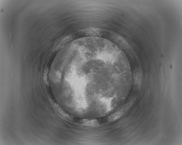 X0000085080185200704021446