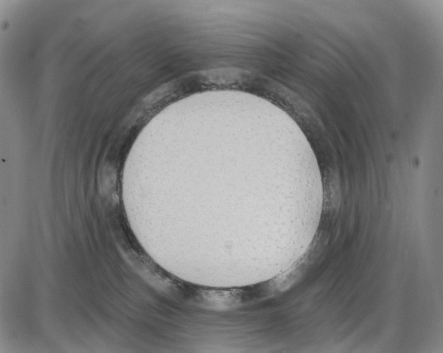 X0000085080187200704021446