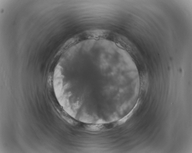 X0000085080191200704021446