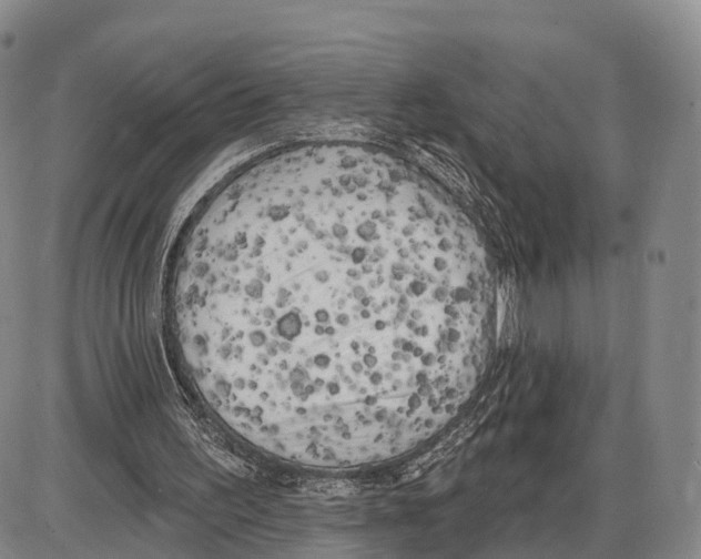 X0000085080195200704021445
