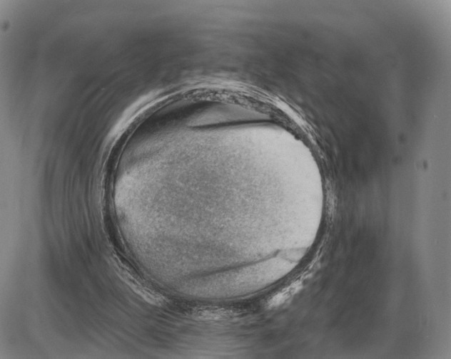 X0000085080199200704021445