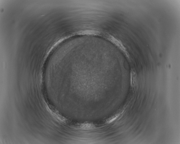 X0000085080204200704021445