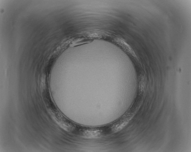 X0000085080213200704021445