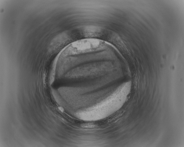 X0000085080219200704021445
