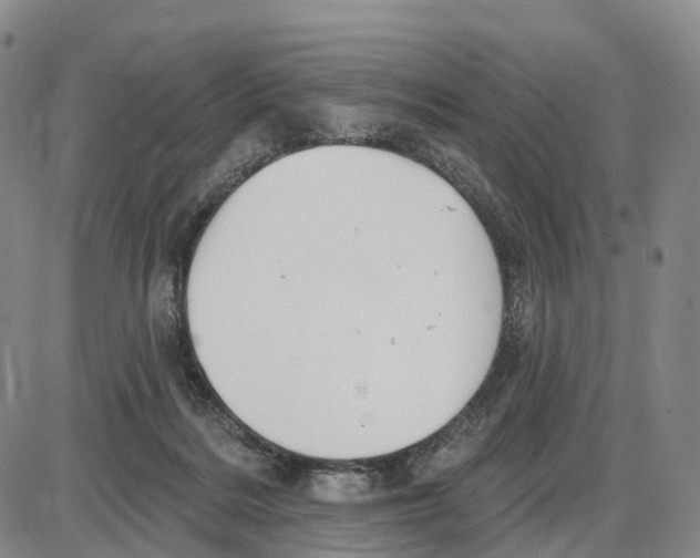 X0000085080220200704021445
