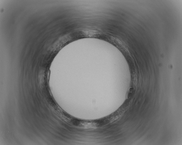 X0000085080221200704021445