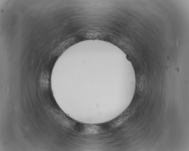 X0000085080226200704021445