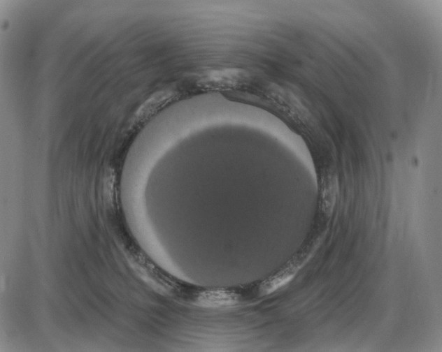 X0000085080231200704021445
